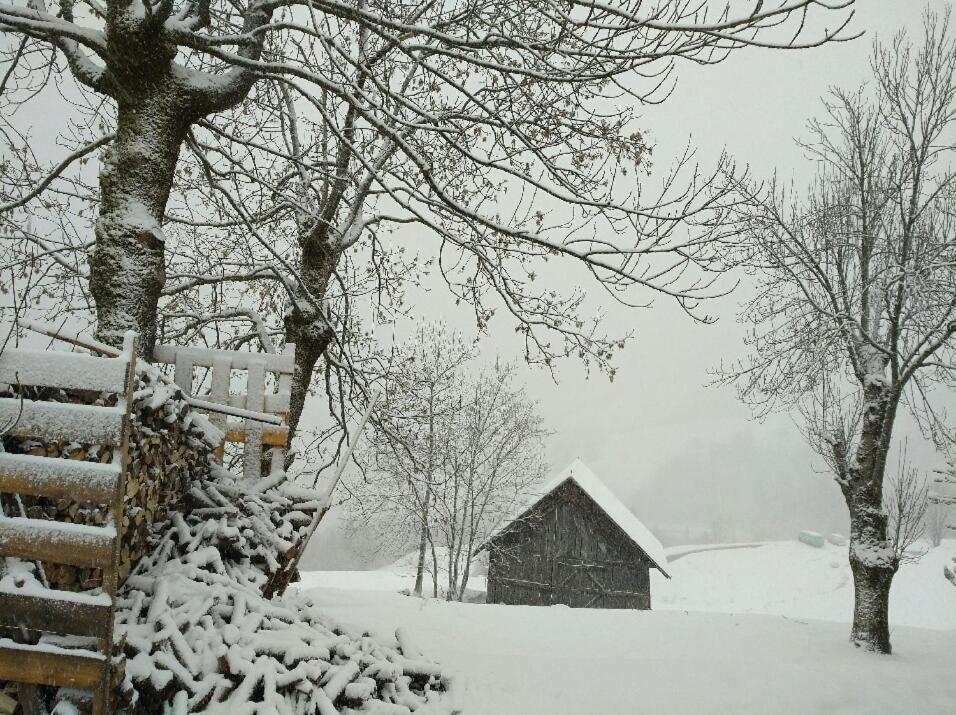 Chalet Lucie Le Cheval Noir Valmorel Esterno foto